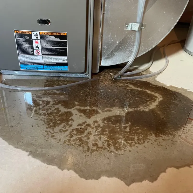 Appliance Leak Cleanup in Meggett, SC